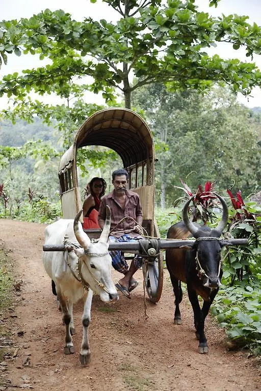 Serenity At Kanam Estate Country house